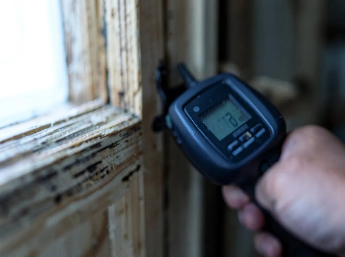 Moisture Inspection And Documentation in Ellsinore, MO